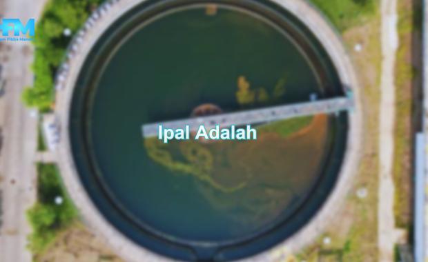 stp adalah